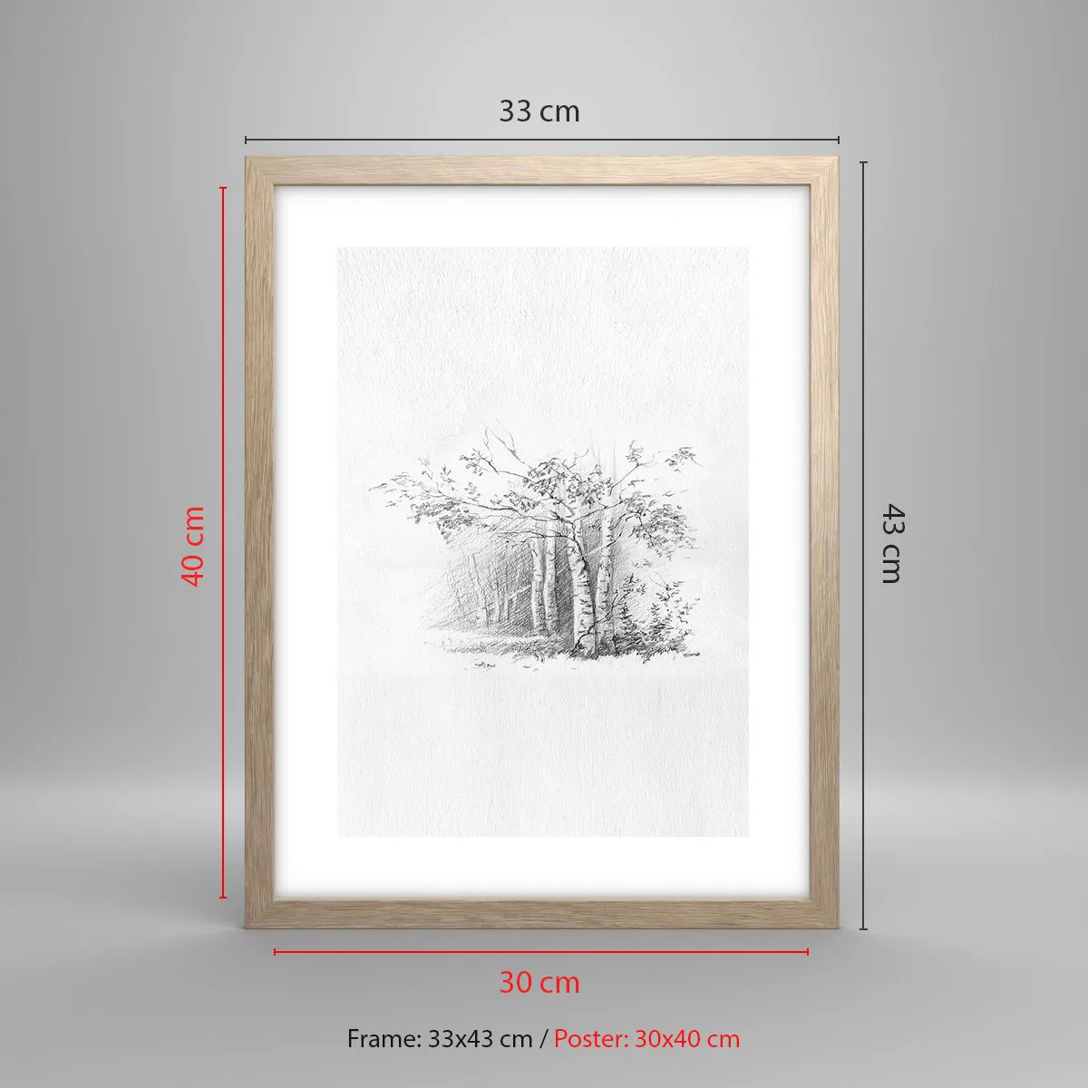 Plakát v rámu světlý dub - Světlo březového lesa - 30x40 cm