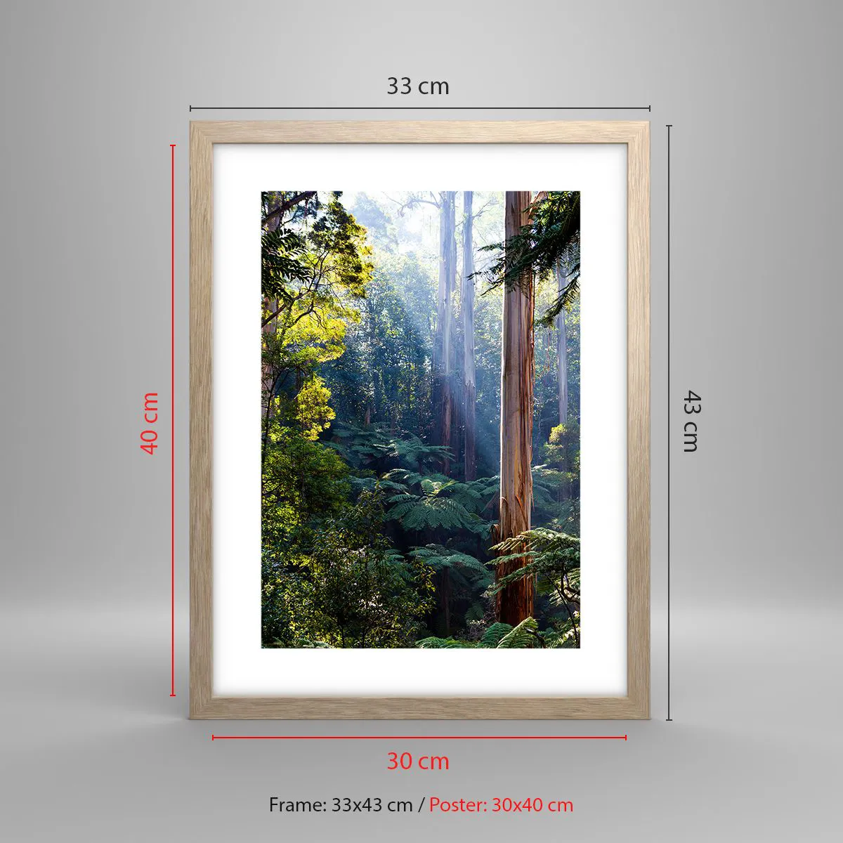 Plakat i ramme af lyst egetræ - En fortælling om skoven - 30x40 cm