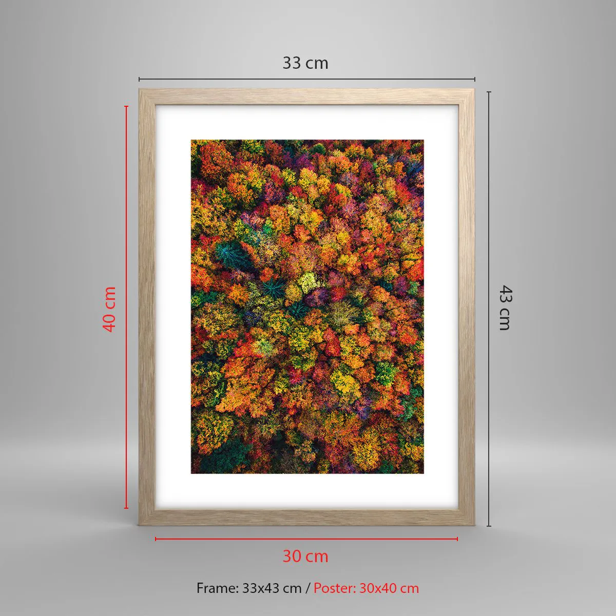 Plagát v ráme zo svetlého duba - Kytica jesenných stromov - 30x40 cm