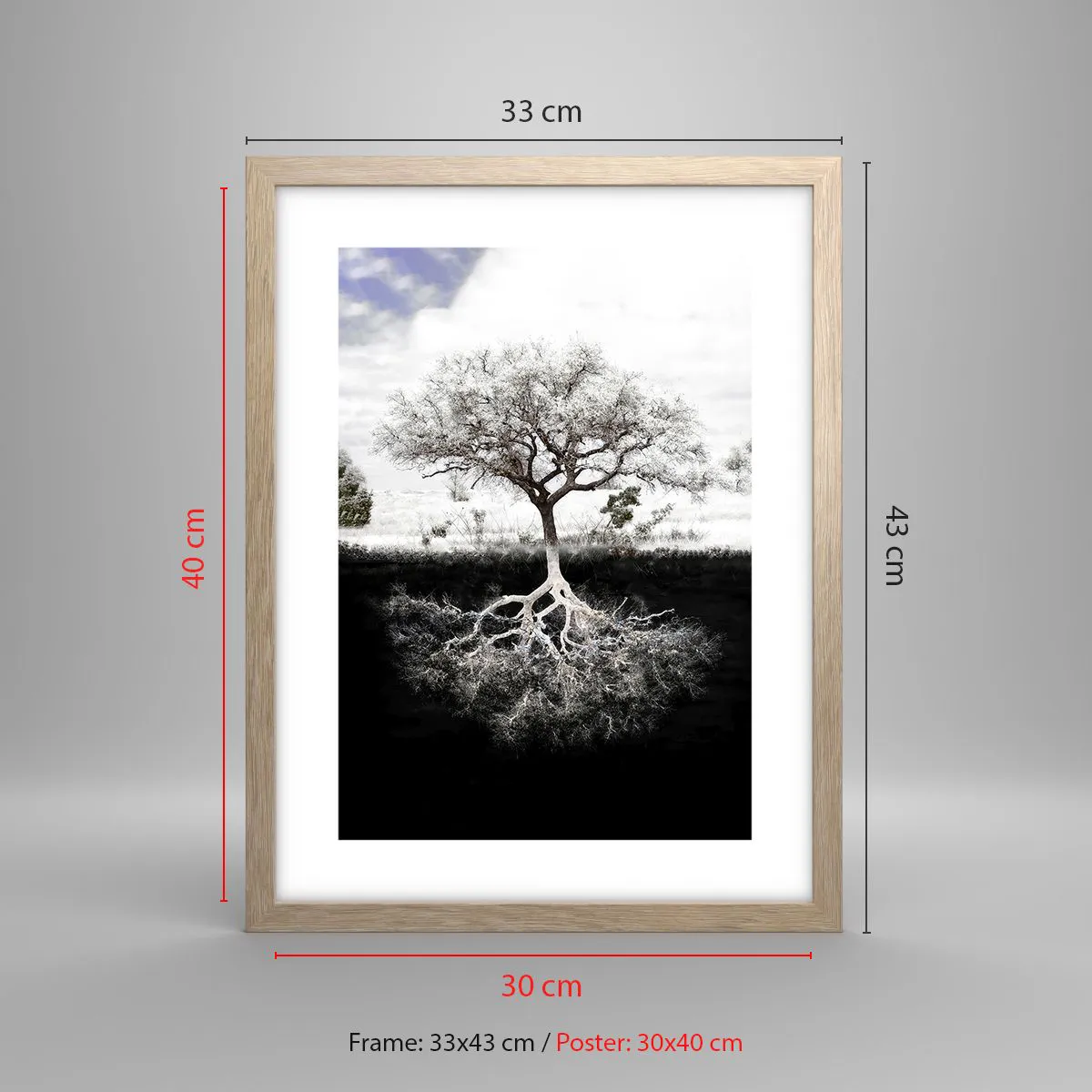 Poszter világos tölgy keretben - A világ természetének felfedezése - 30x40 cm