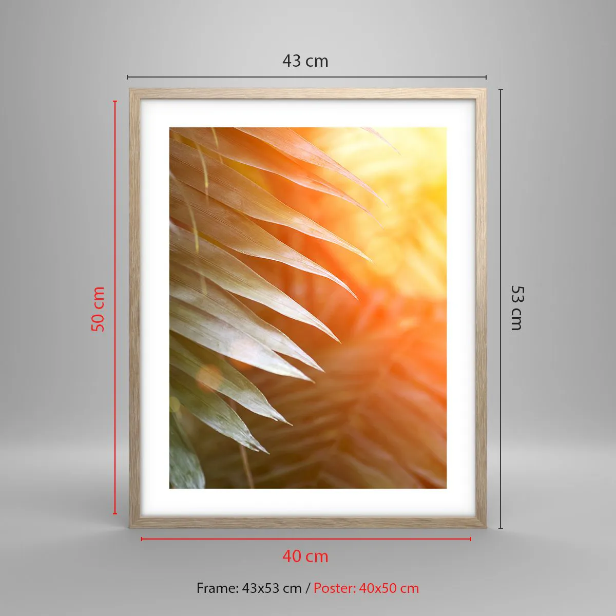 Poszter világos tölgy keretben - Reggel a dzsungelben - 40x50 cm