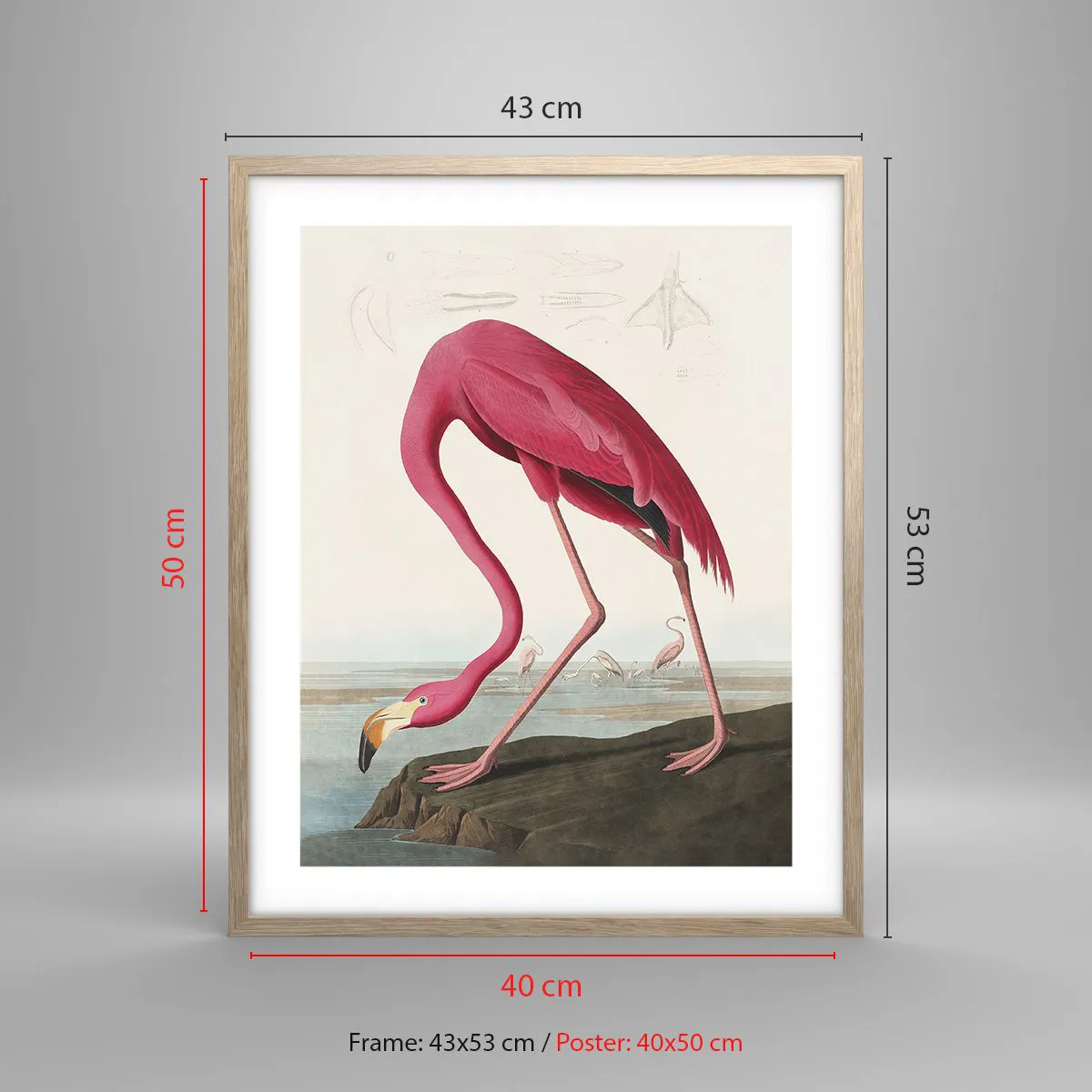 Plakat i ramme af lyst egetræ - Et forbløffende væsen - 40x50 cm