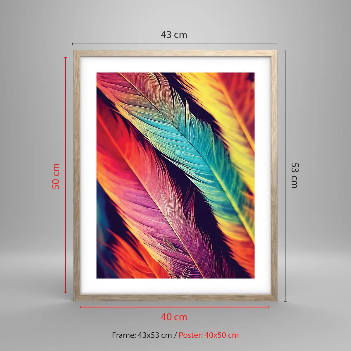 Poster in einem Rahmen aus heller Eiche - Gefiederter Regenbogen - 40x50 cm