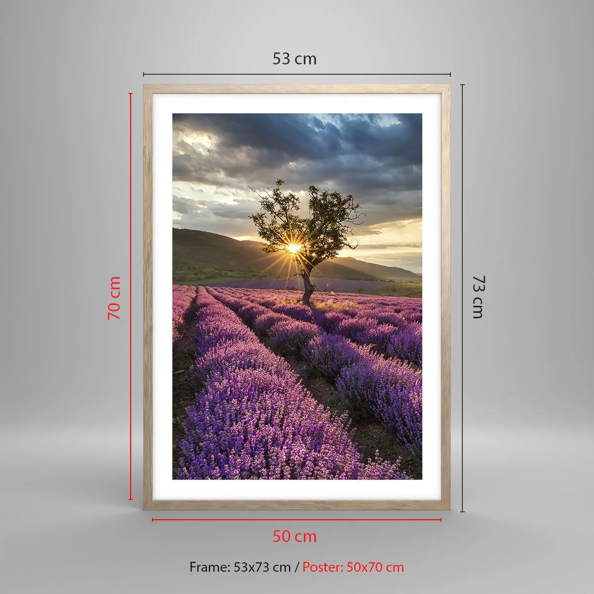 Plakat w ramie jasny dąb - Aromat w kolorze lila - 50x70 cm