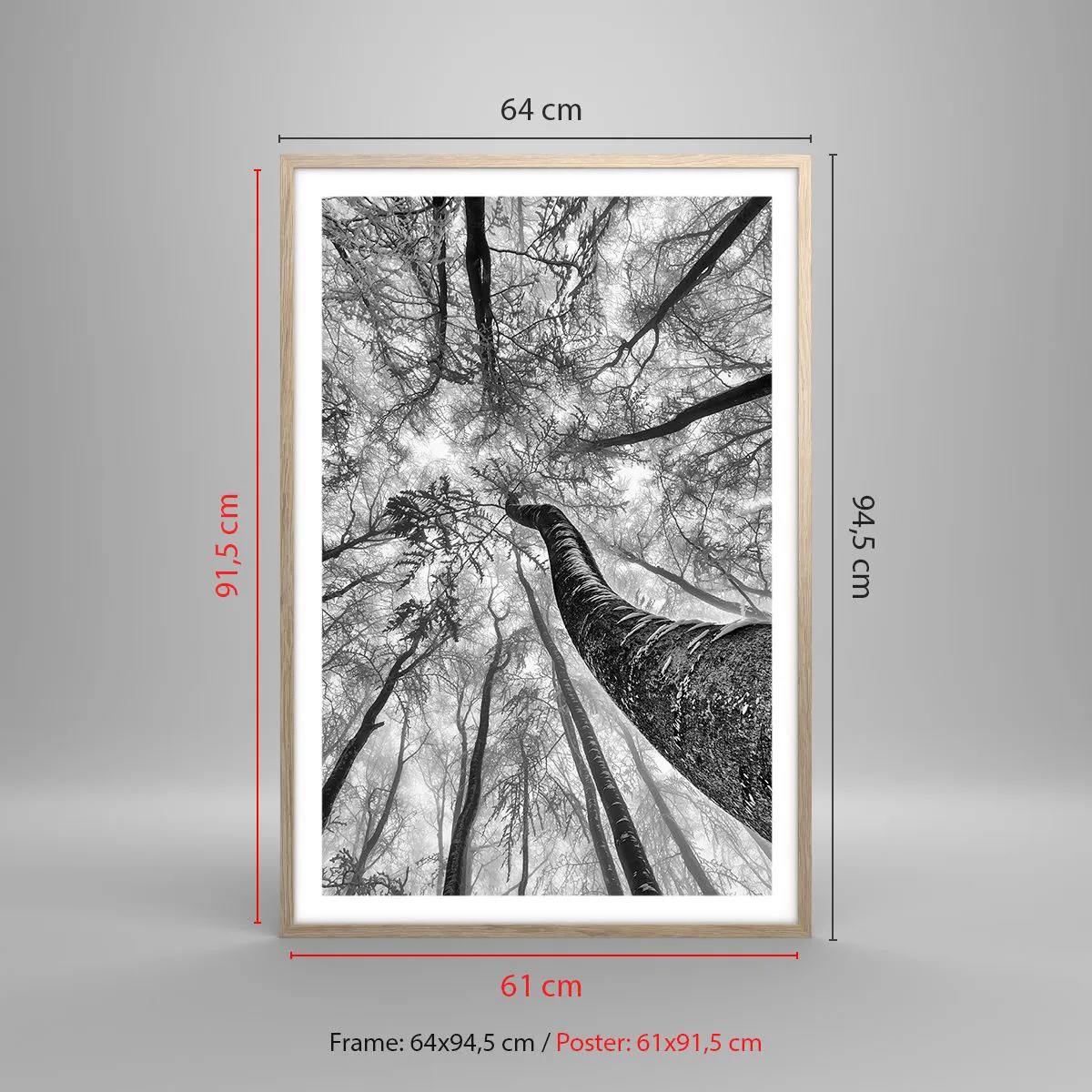 Plakat i ramme af lyst egetræ - Kapløb mod lyset - 61x91 cm