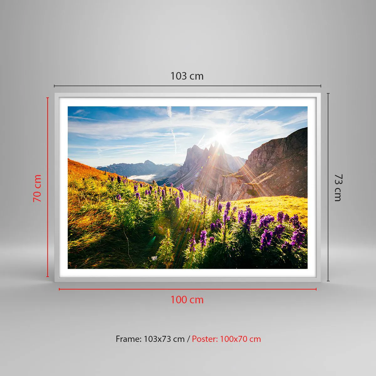 Plakat w białej ramie - Sekretne życie ziół - 100x70 cm