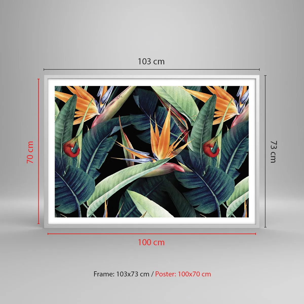 Poster in einem weißen Rahmen - Flammende Blumen der Tropen - 100x70 cm