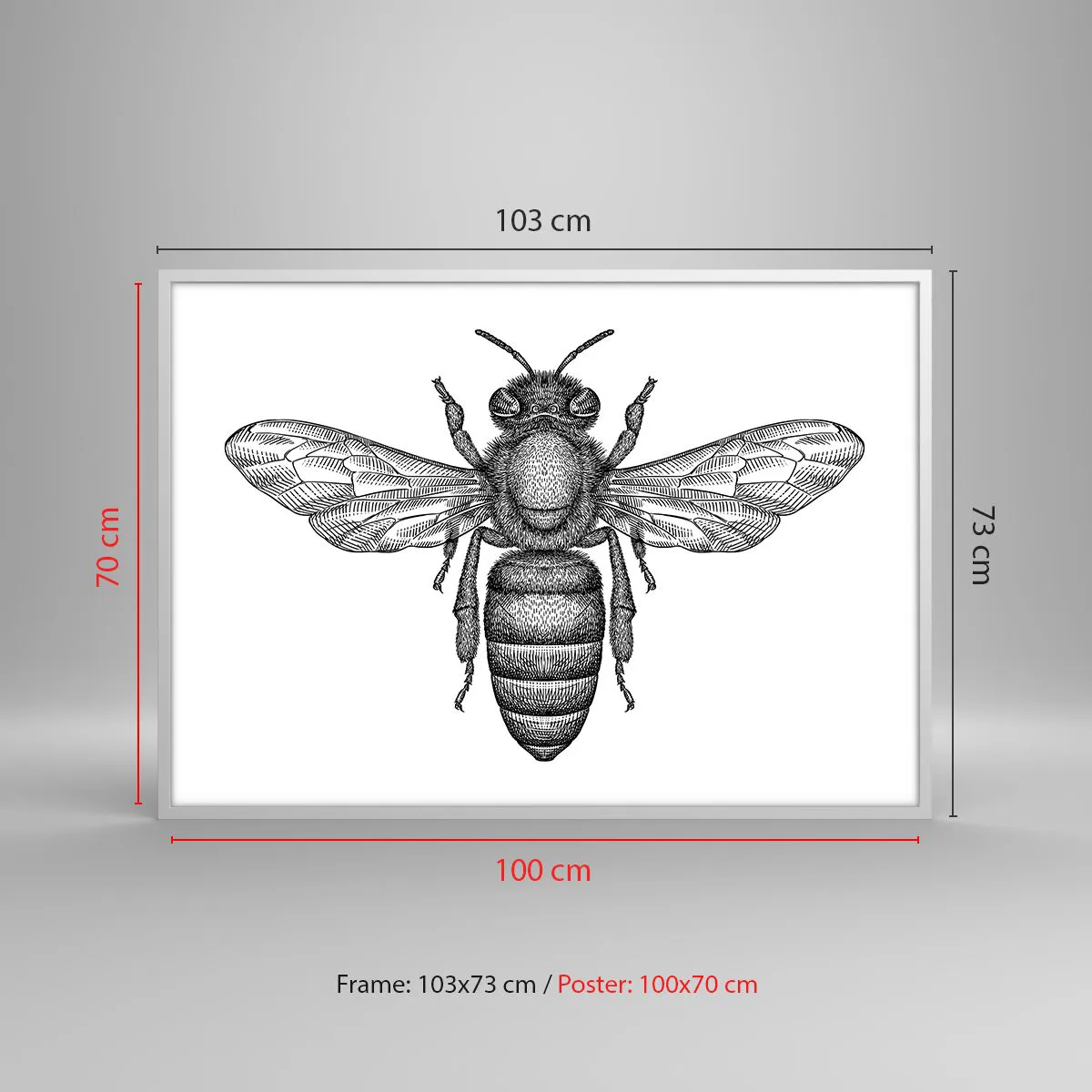 Poster in einem weißen Rahmen - Insektenporträt - 100x70 cm