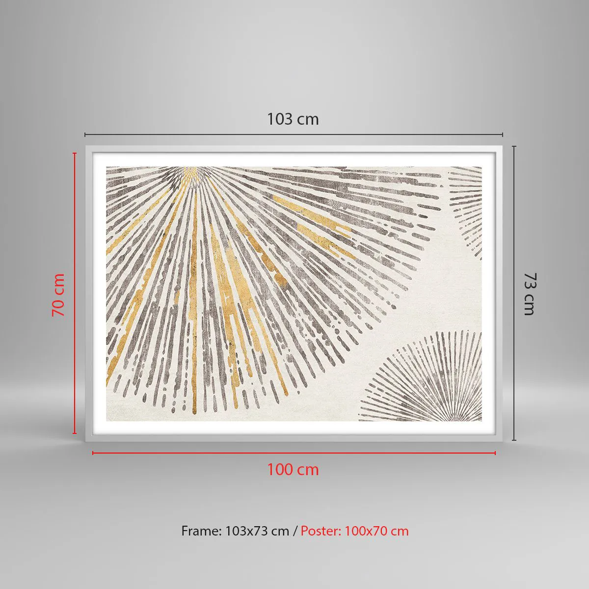 Affisch i vit ram - Radiens skönhet - 100x70 cm