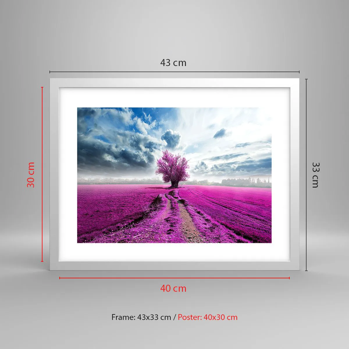 Affiche dans un cadre blanc - Poster - Lande - nature sauvage - 40x30 cm