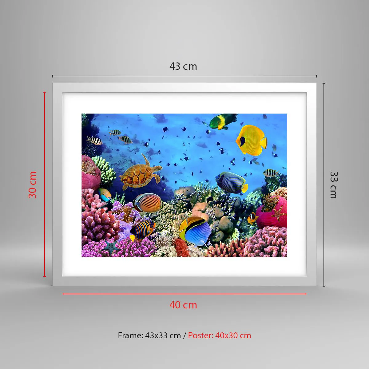 Affiche dans un cadre blanc - Poster - Et que sait-on de la vie… - 40x30 cm