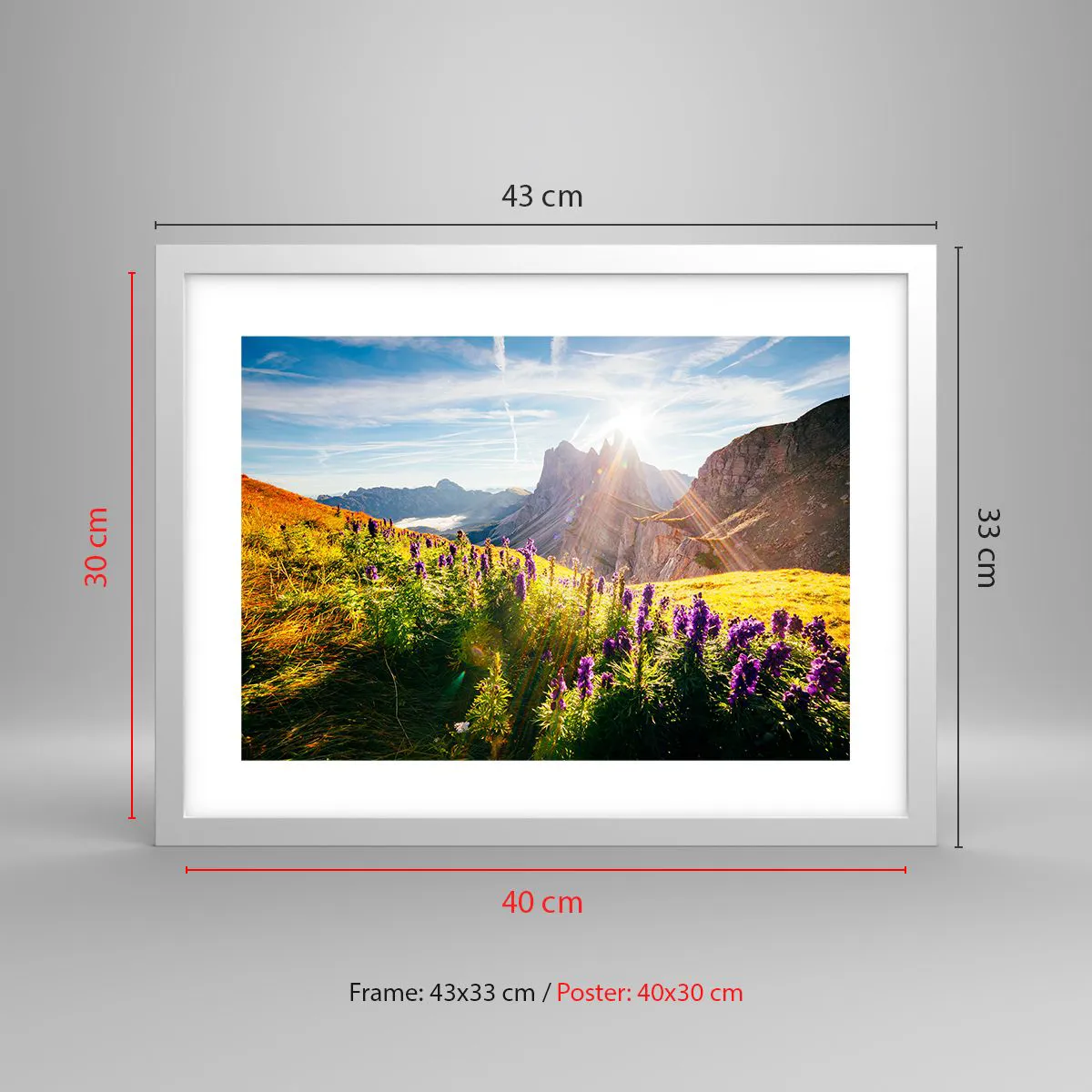 Plagát v bielom ráme - Tajomný život bylín - 40x30 cm