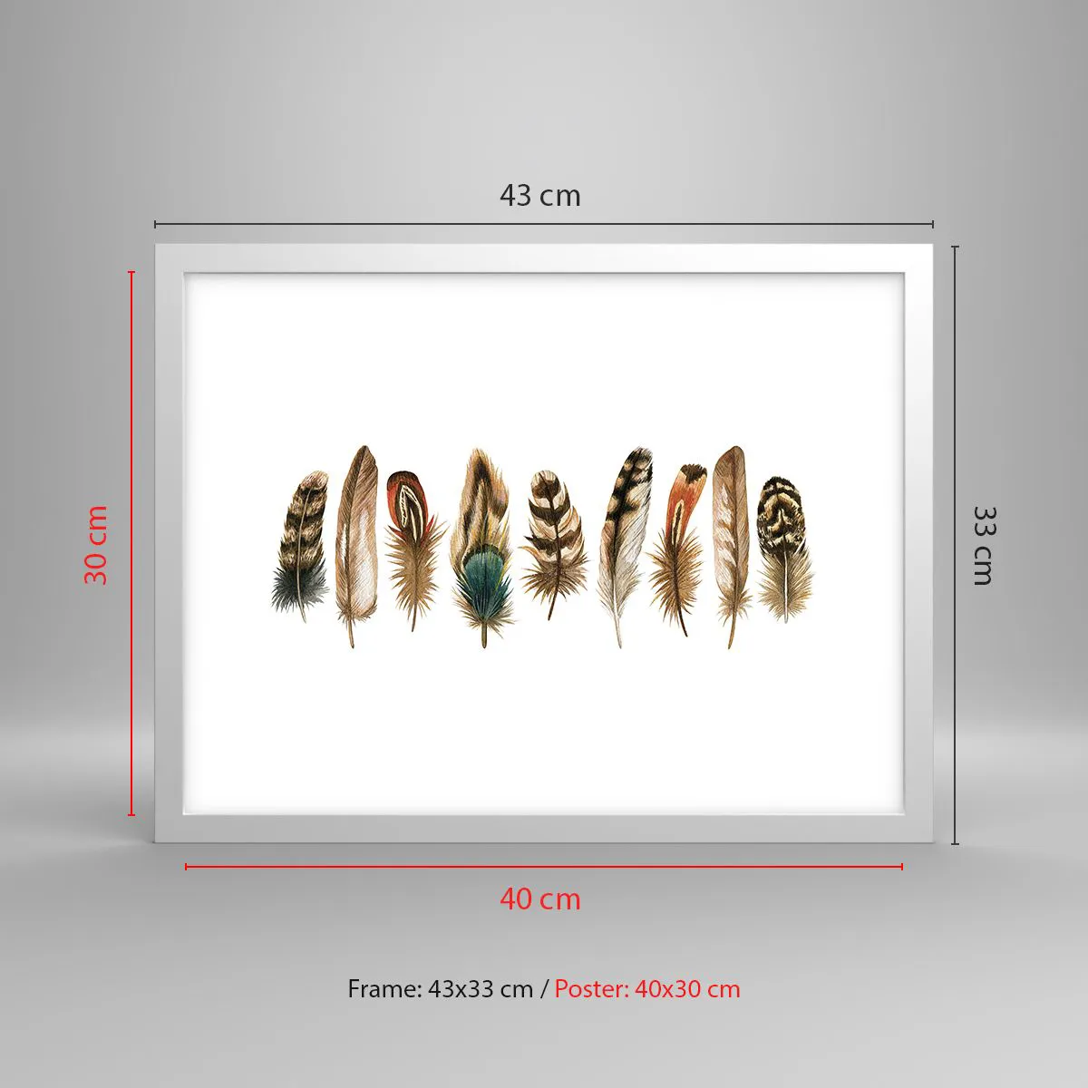 Poster in white frmae - Feather Variation - 40x30 cm
