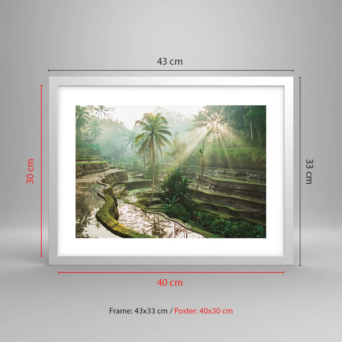 Plakát v bílém rámu - Vyrůstát na slunci - 40x30 cm