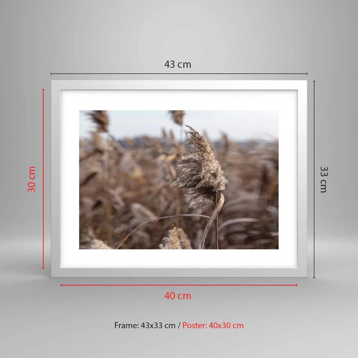 Poster in einem weißen Rahmen - Zeit, mit dem Wind zu gehen - 40x30 cm