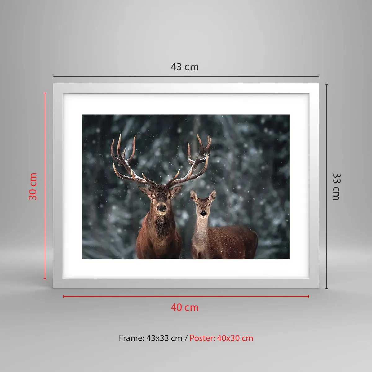 Poster in einem weißen Rahmen - Herr des Waldes mit seiner Frau - 40x30 cm