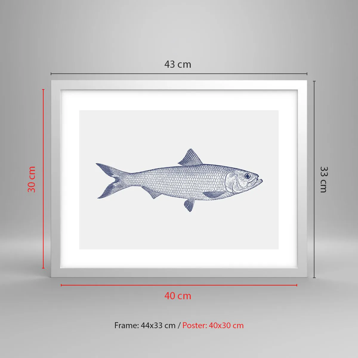 Affisch i vit ram - Hälsningar från de nordliga haven - 40x30 cm