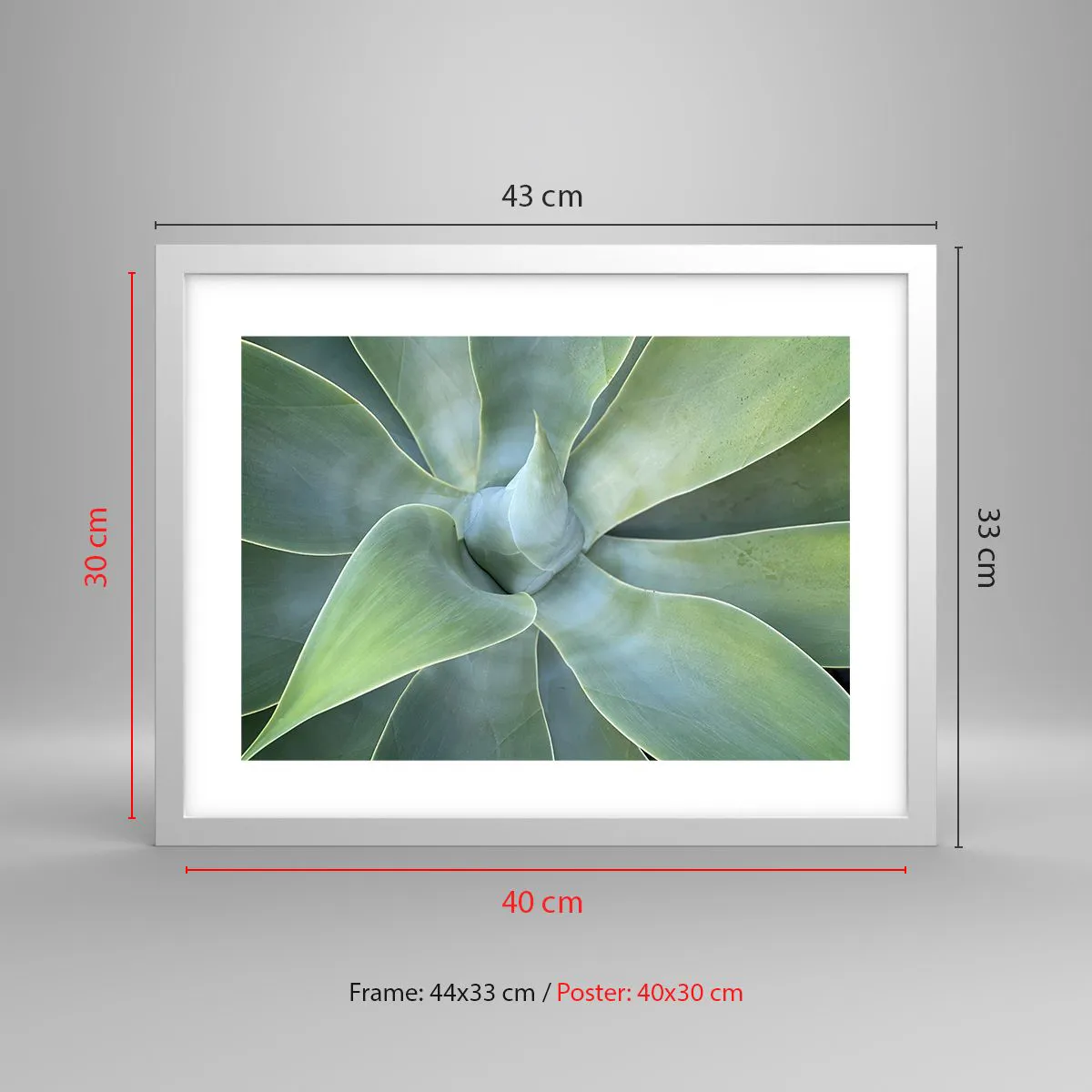 Poster in einem weißen Rahmen - Geburt des Grüns - 40x30 cm