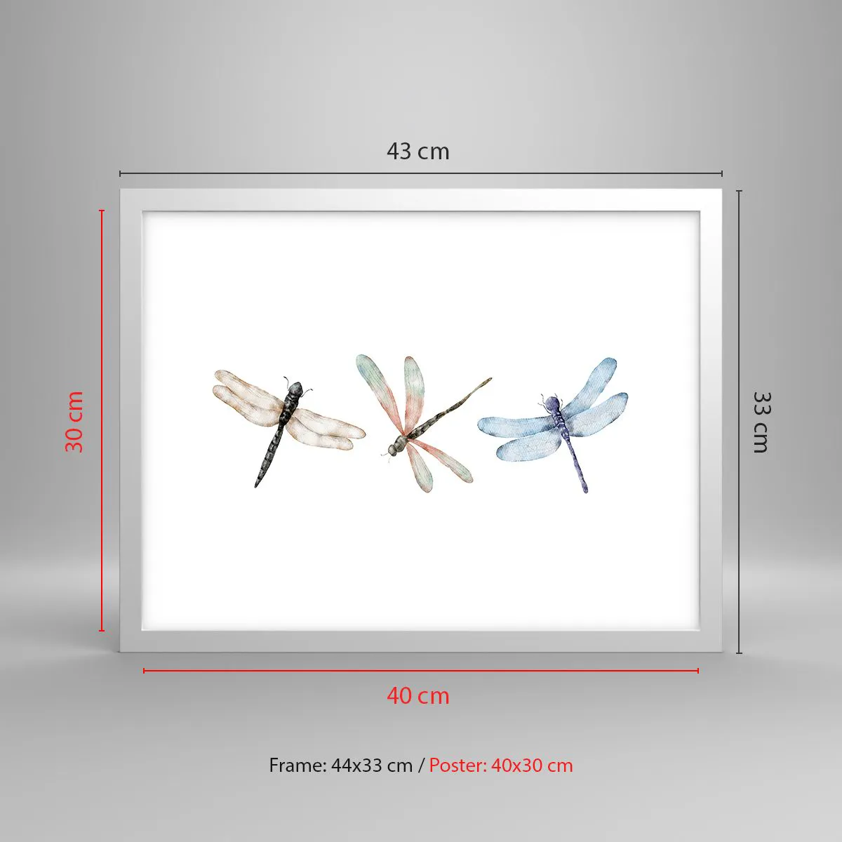 Poster in einem weißen Rahmen - Schwerelose Libellen - 40x30 cm