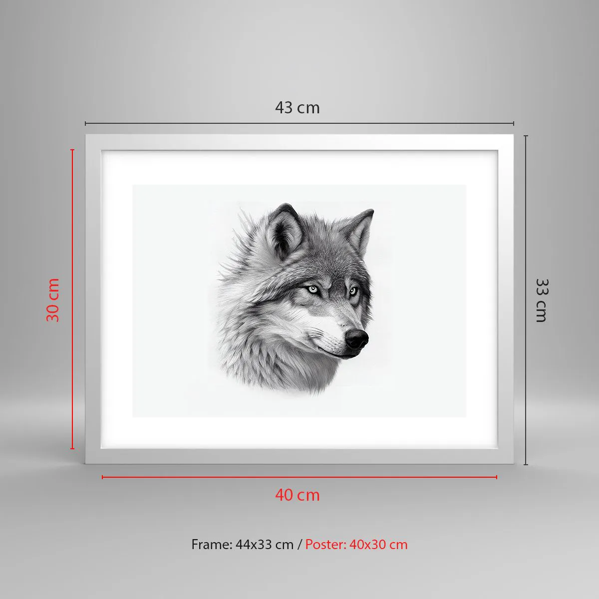 Affiche dans un cadre blanc - Poster - Alpha – sans aucun doute - 40x30 cm