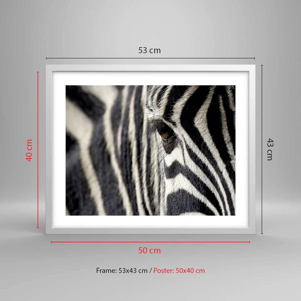 Plakat w białej ramie - Portret w paski - 50x40 cm
