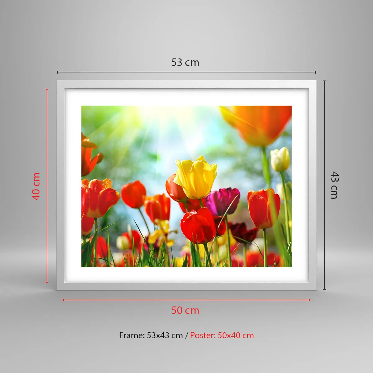 Poster in white frmae - All Colours of the Sun - 50x40 cm