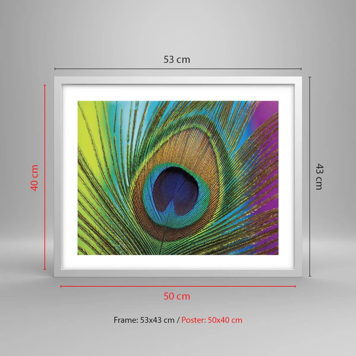 Poster in een witte lijst - Oog in oog - 50x40 cm