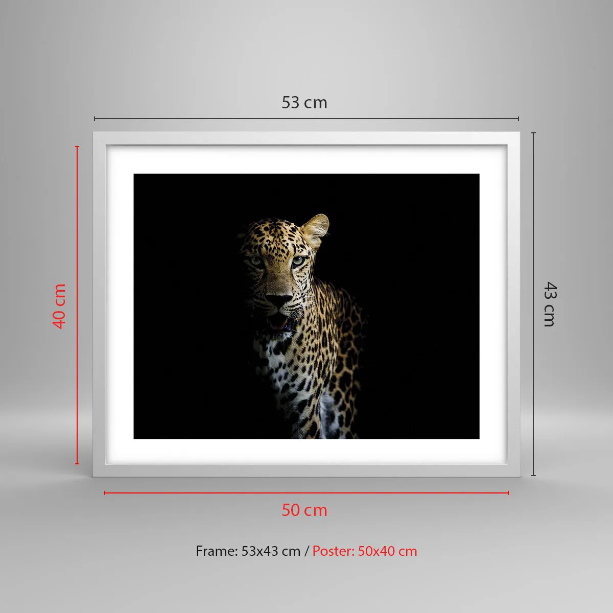 Plakat w białej ramie - Mroczne piękno - 50x40 cm