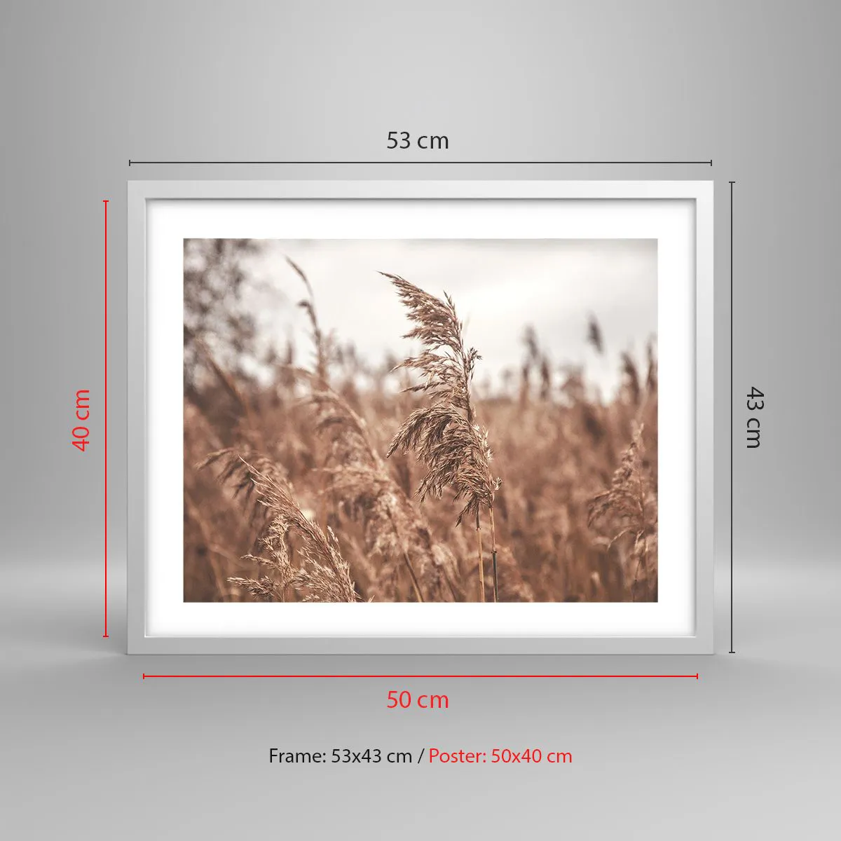 Poster in einem weißen Rahmen - Auf den Feldern ist es schon Herbst - 50x40 cm