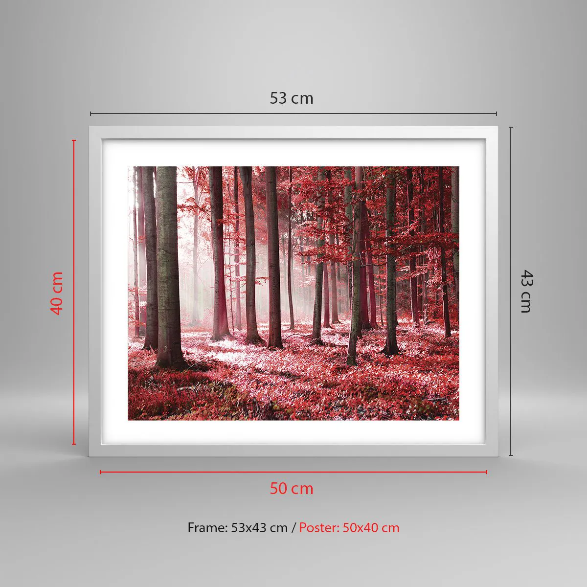 Affisch i vit ram - Röd är lika vacker - 50x40 cm