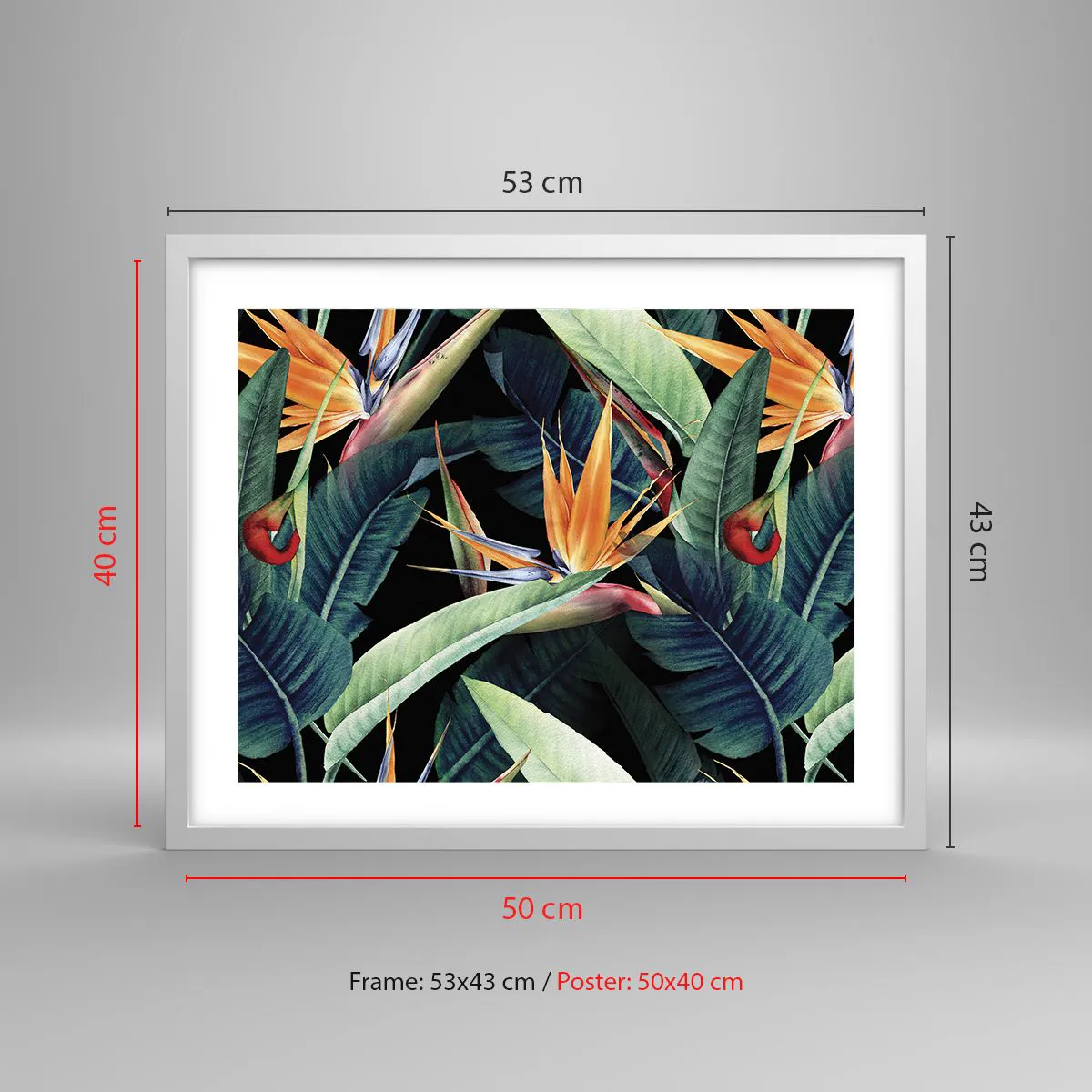 Pôster em moldura branca - Flores ardentes dos trópicos - 50x40 cm