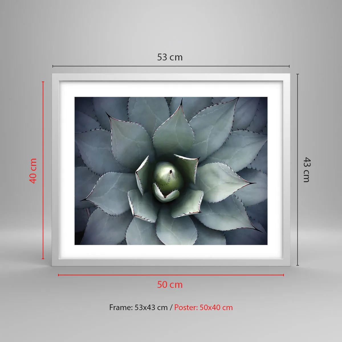 Plakát v bílém rámu - Svádí a varuje - 50x40 cm