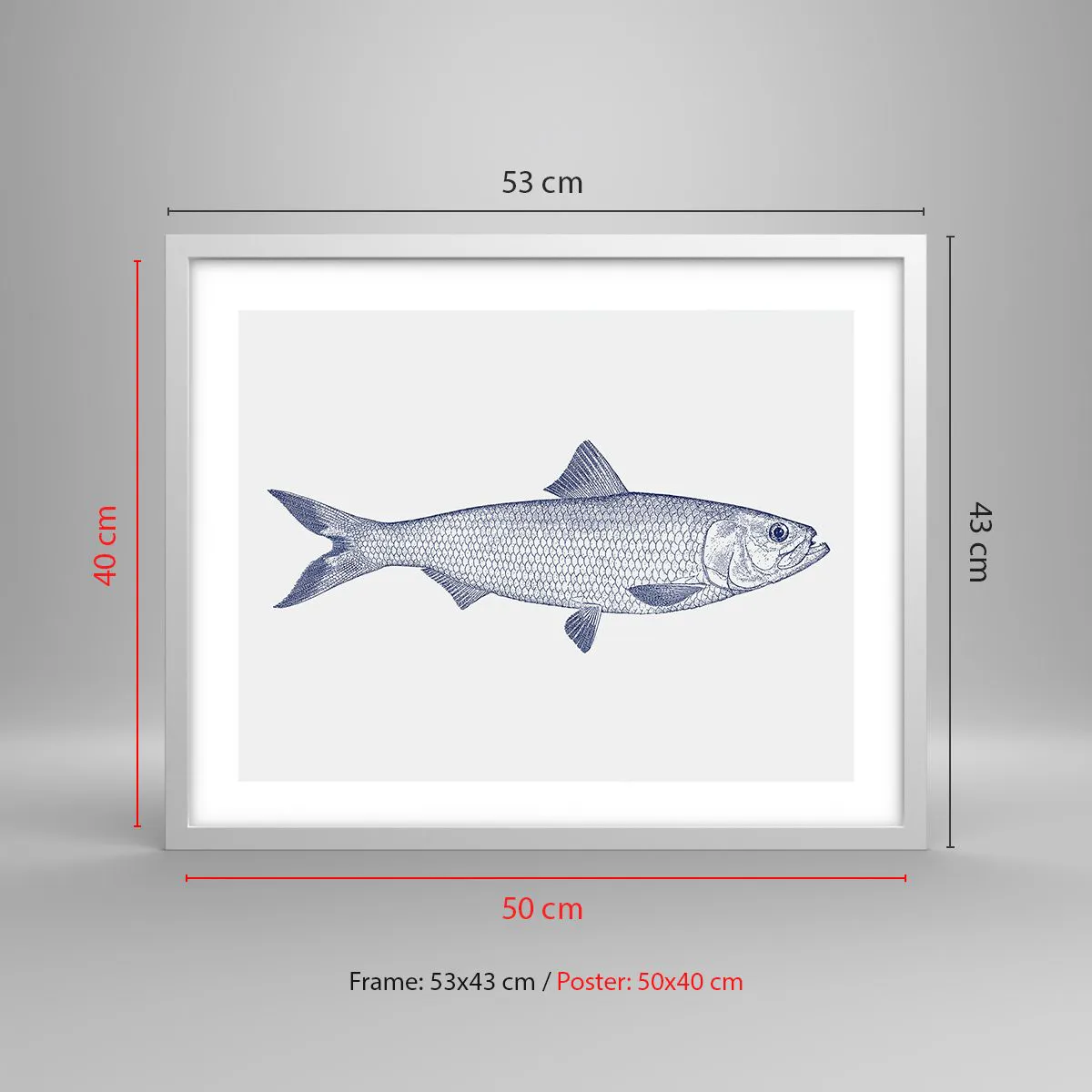 Poszter fekete keretben - Üdvözlet az északi tengerektől - 50x40 cm