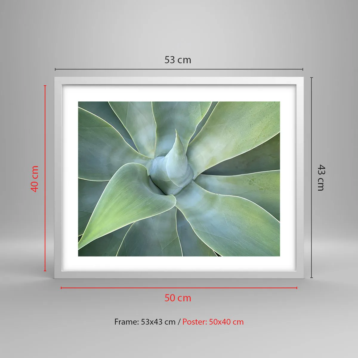 Póster en marco blanco - El nacimiento del verde - 50x40 cm