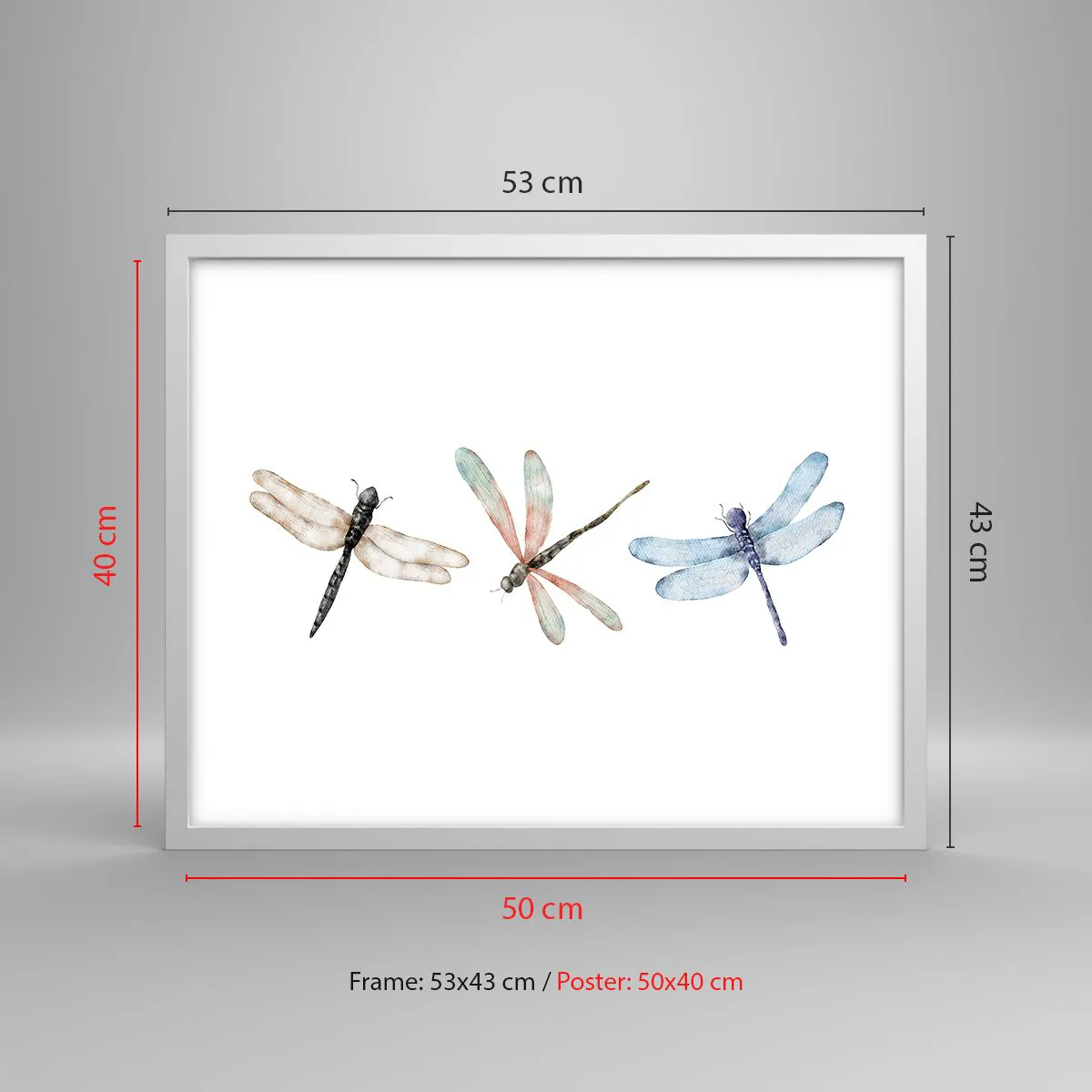 Affisch i vit ram - Viktlösa trollsländor - 50x40 cm