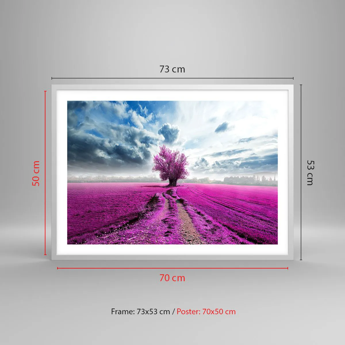 Poster in einem weißen Rahmen - Heide - Wildnis - 70x50 cm