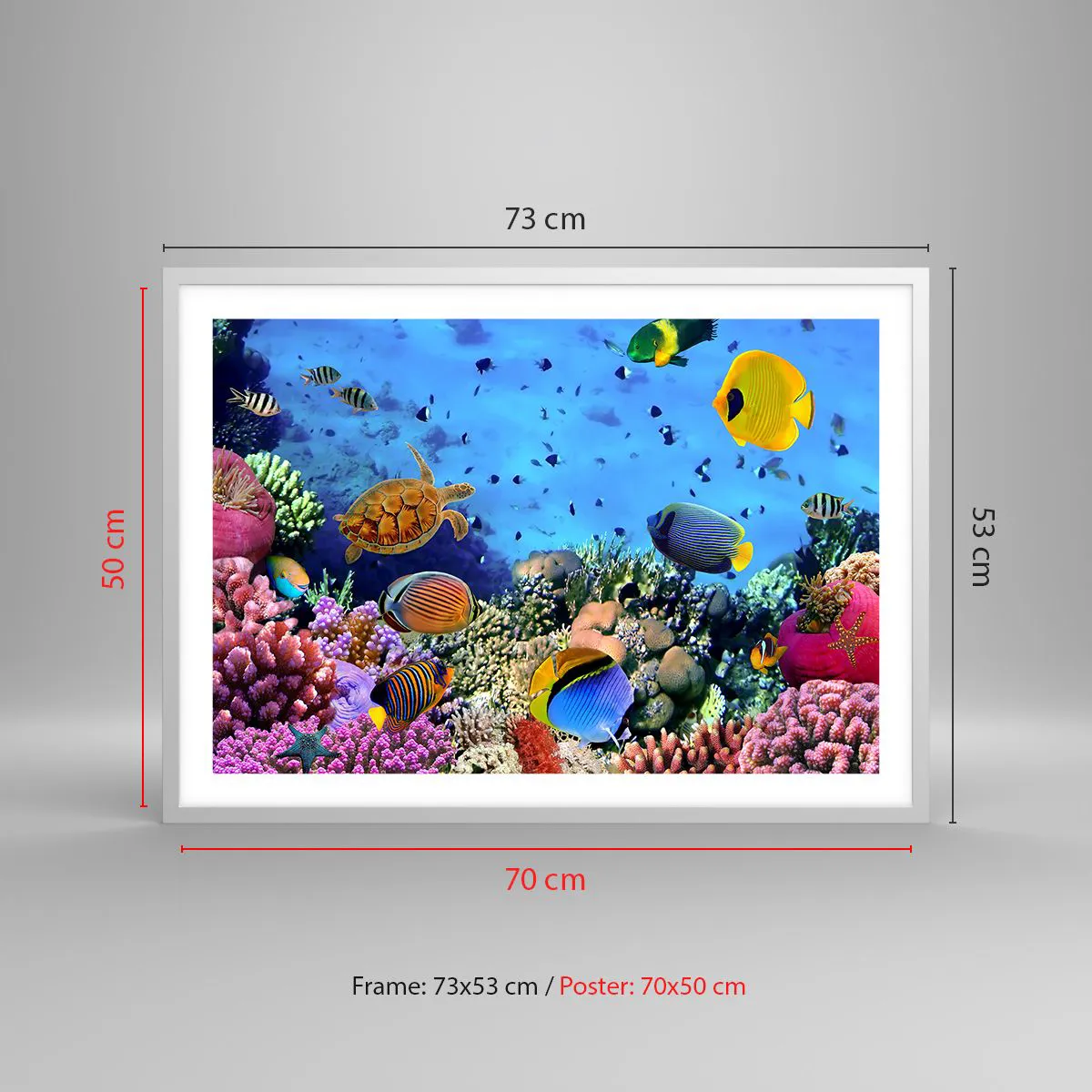 Poster in white frmae - What Do We Know about Life? - 70x50 cm