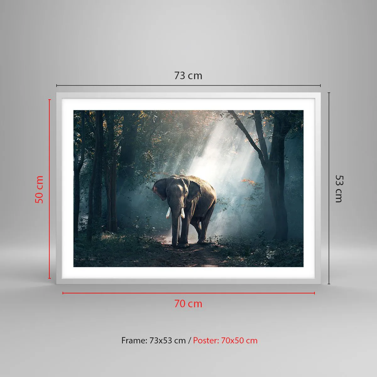 Pôster em moldura branca - Um passeio descontraído - 70x50 cm