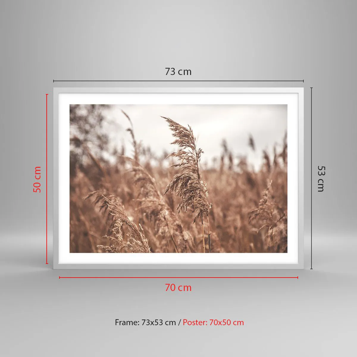 Poster in white frmae - Autumn Has Arrived in the Fields - 70x50 cm