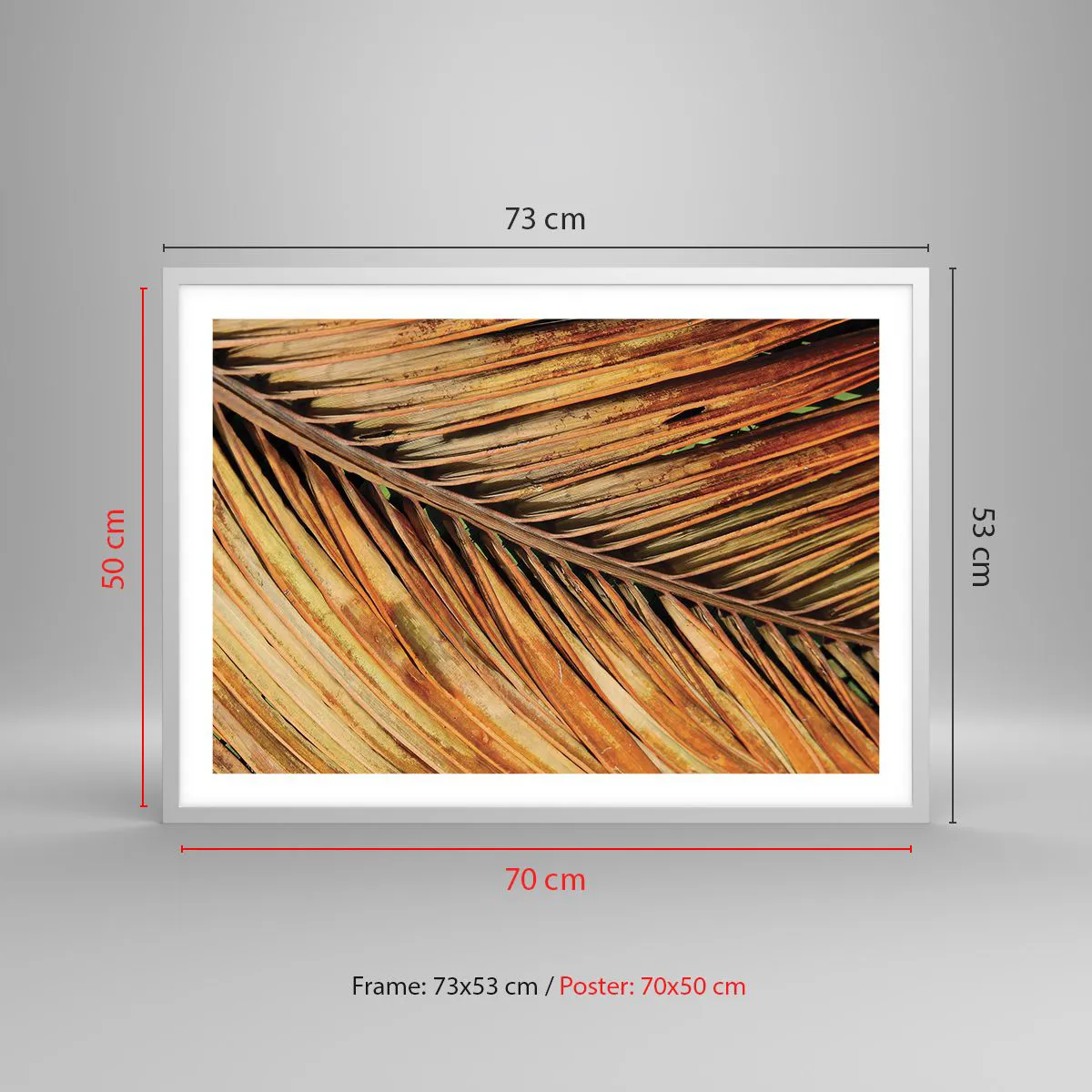 Poster in cornice bianca - Oro di cocco - 70x50 cm