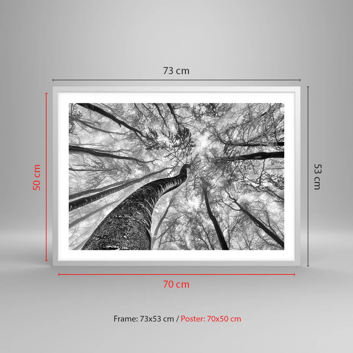 Poszter fekete keretben - Verseny a fény felé - 70x50 cm