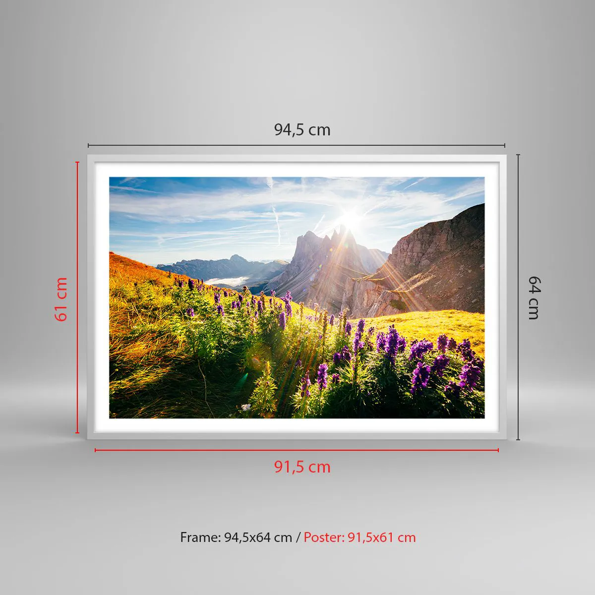 Affiche dans un cadre blanc - Poster - La vie secrète des herbes - 91x61 cm