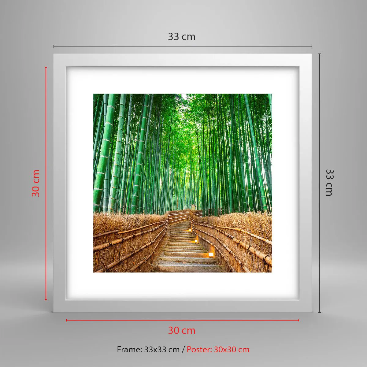 Poster in white frmae - Essence of Asian Nature - 30x30 cm