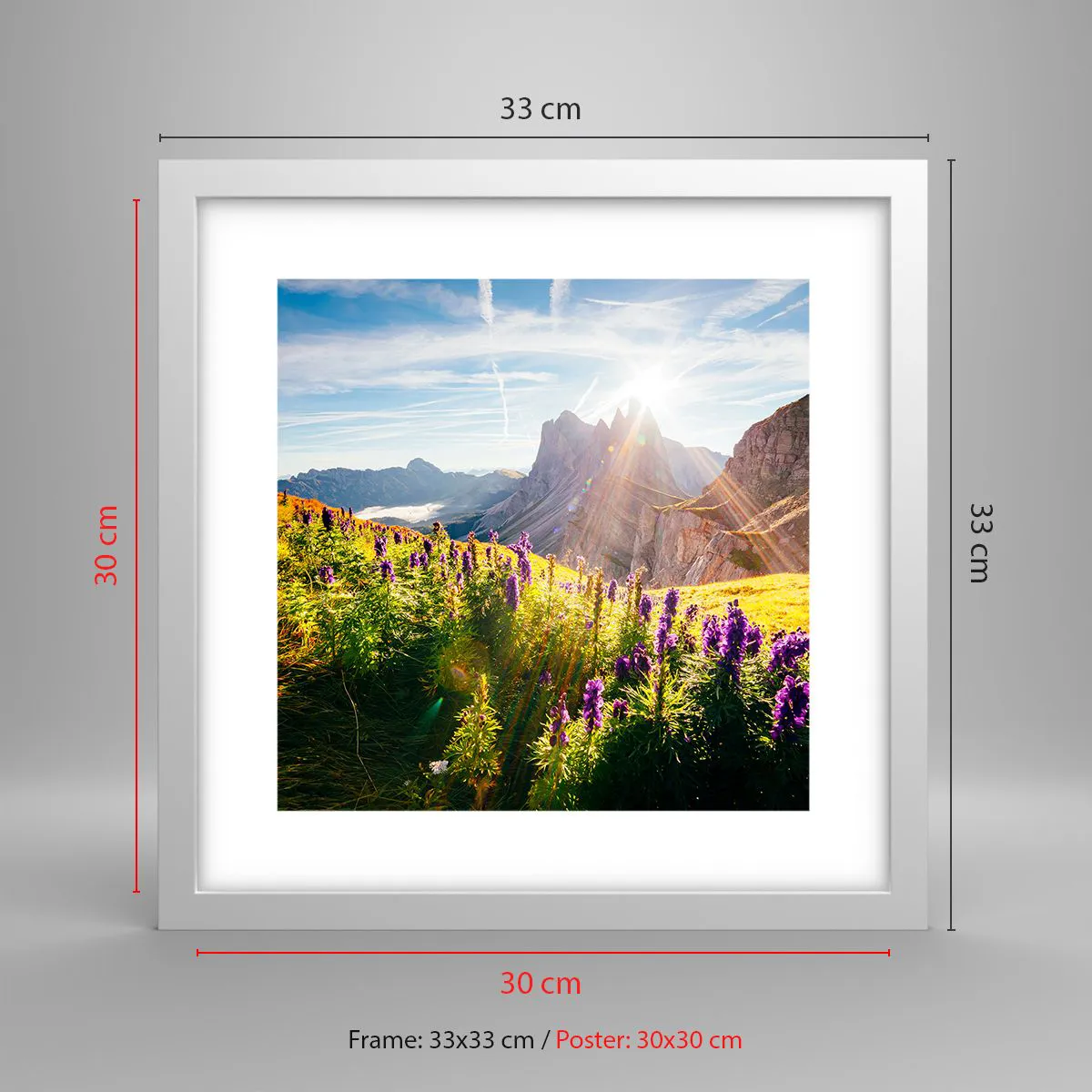 Plakat w białej ramie - Sekretne życie ziół - 30x30 cm