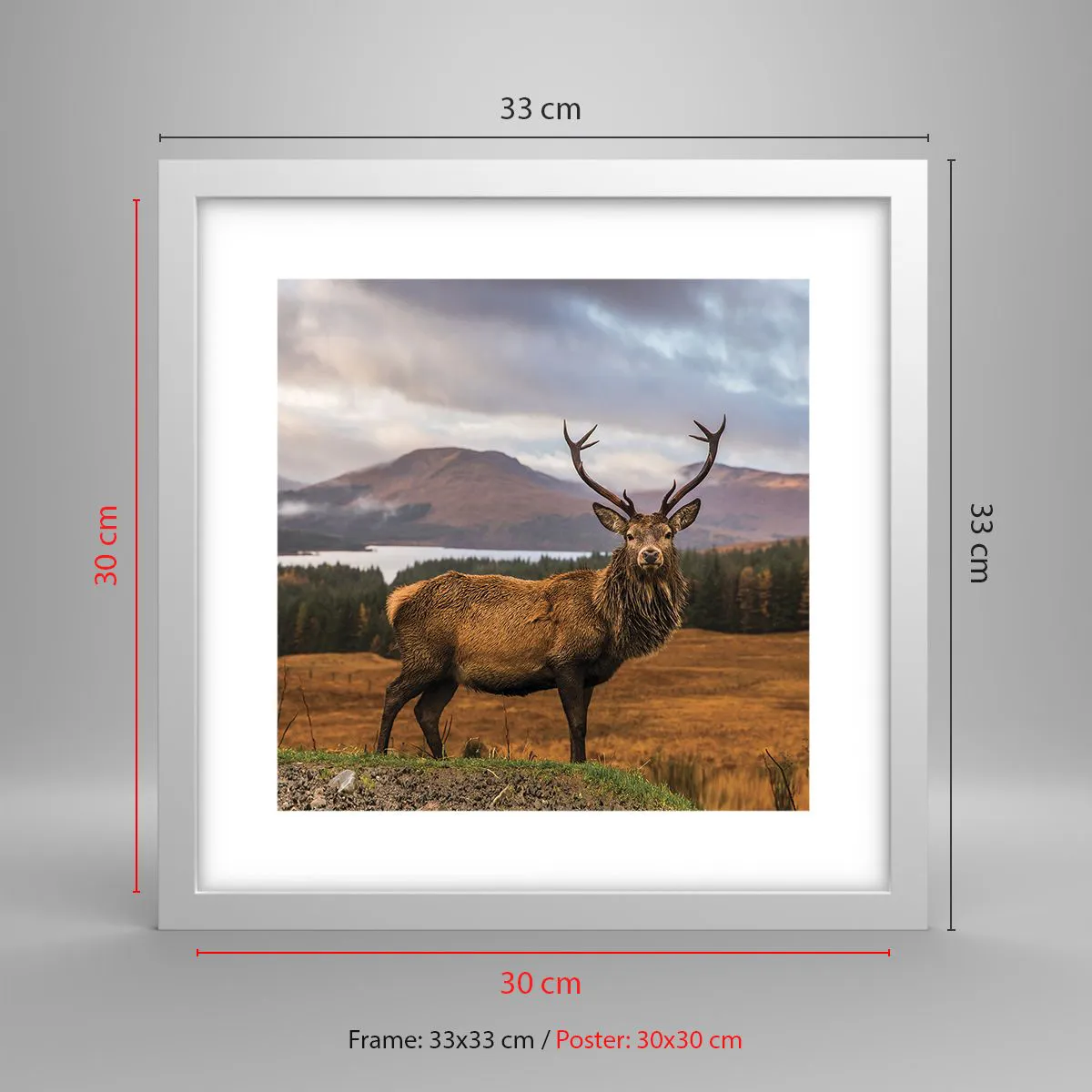 Plakat w białej ramie - Majestat natury - 30x30 cm