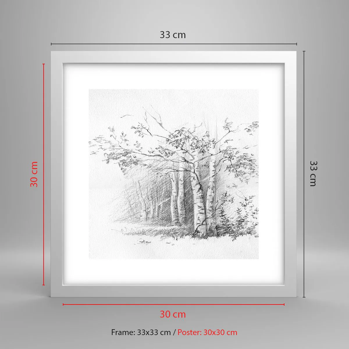 Poszter fekete keretben - A nyírerdő fénye - 30x30 cm