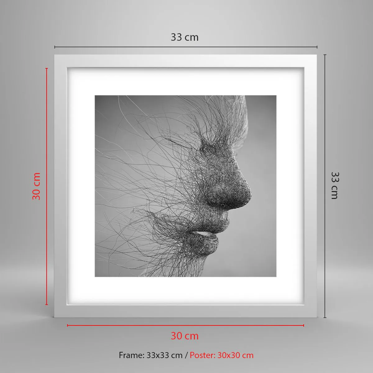 Affiche dans un cadre blanc - Poster - L'esprit du vent - 30x30 cm