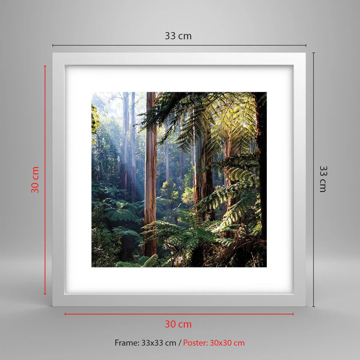 Affiche dans un cadre blanc - Poster - Fable de la forêt - 30x30 cm