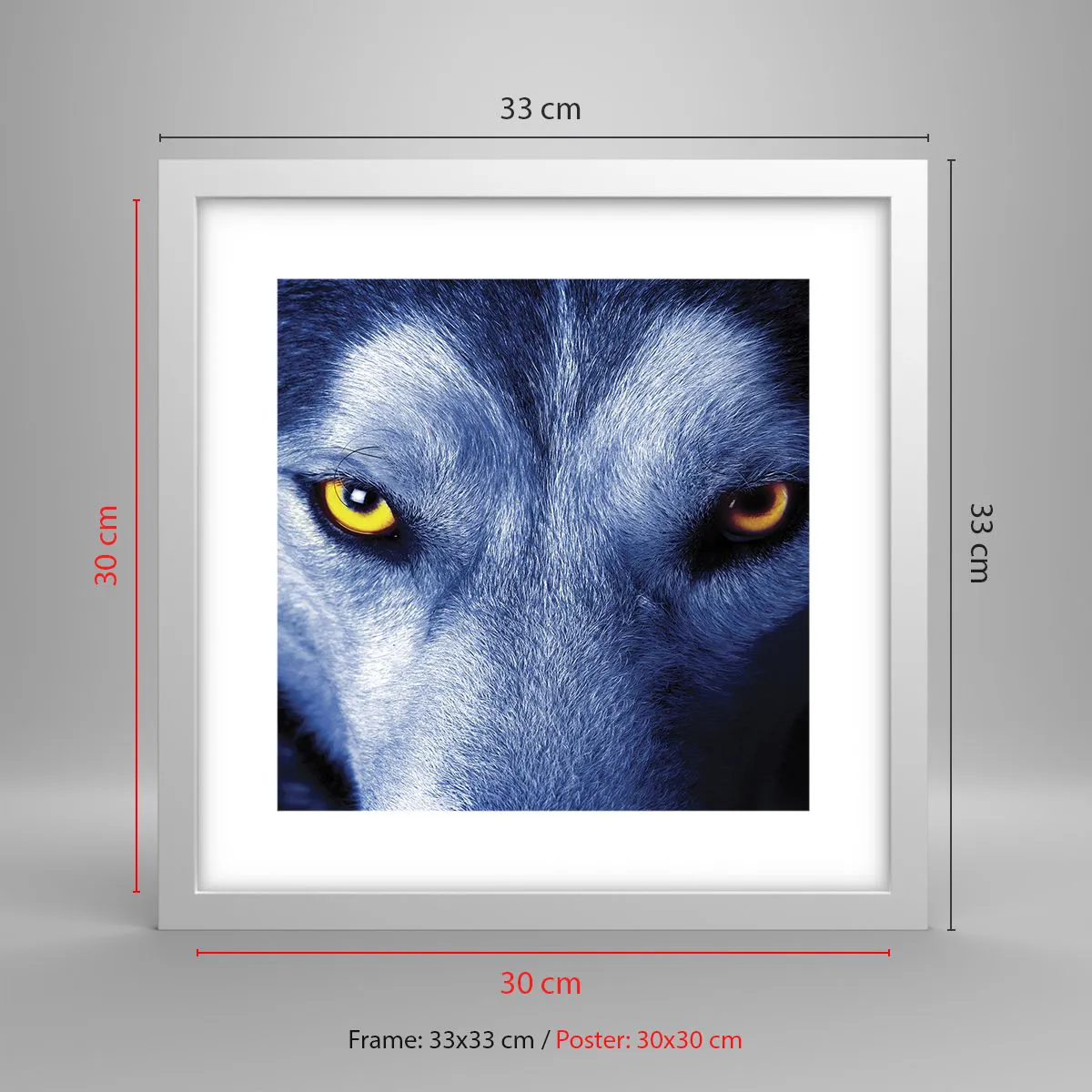 Affisch i vit ram - Hypnotiserade titt - 30x30 cm