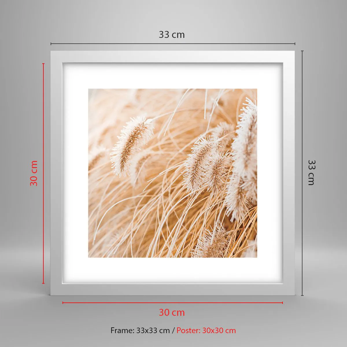 Poster in einem weißen Rahmen - Das goldene Rauschen des Grases - 30x30 cm